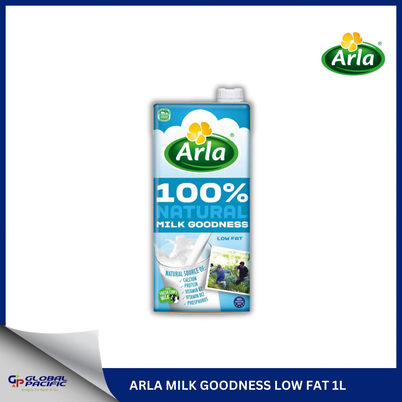 ARLA MILK GOODNESS LOW FAT 1LX12